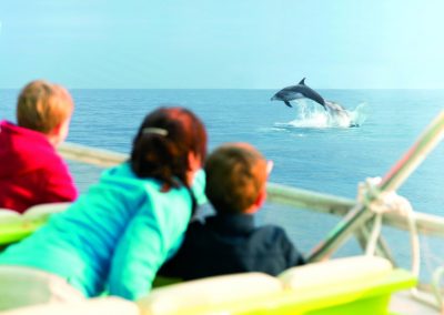 Family Dolphin Tours